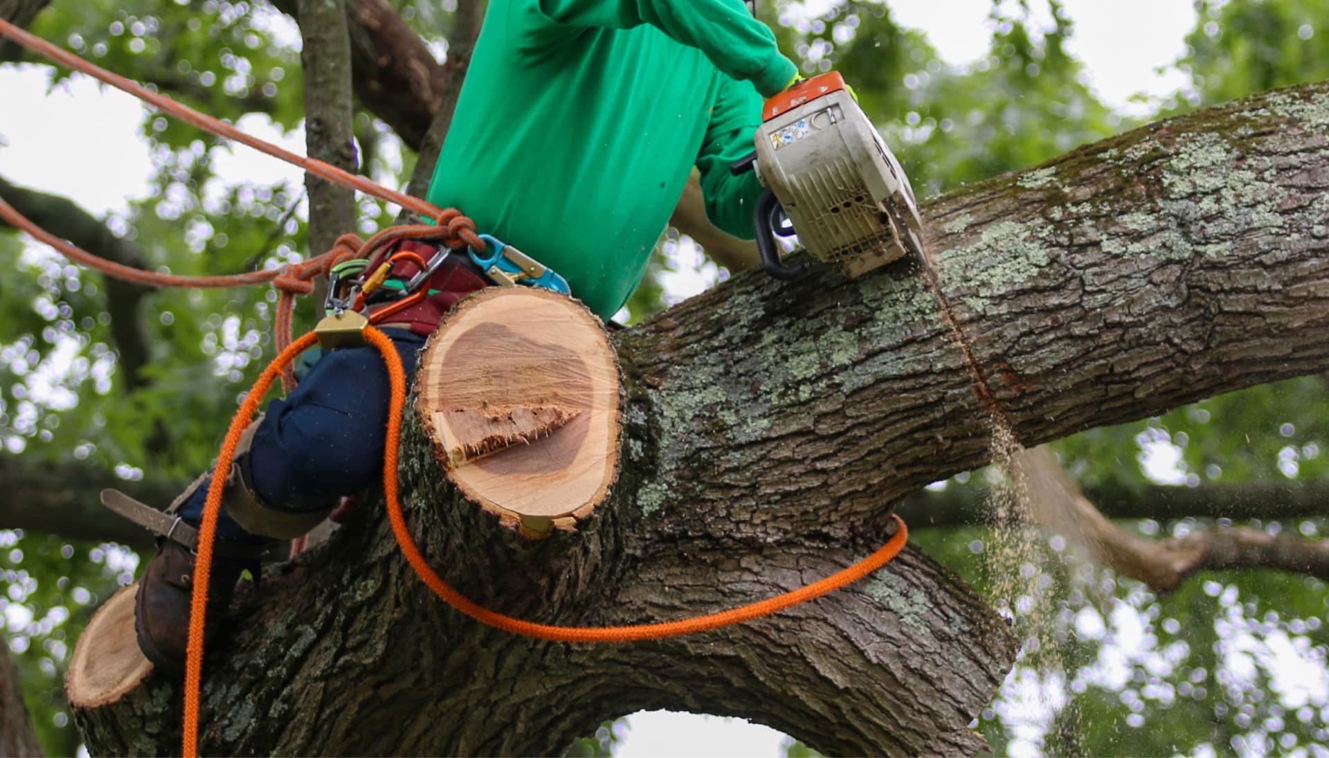 Relax with Lubbock best tree removal.