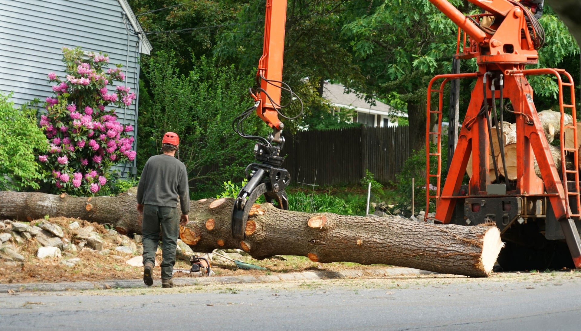 Local partner for Tree removal services in Lubbock