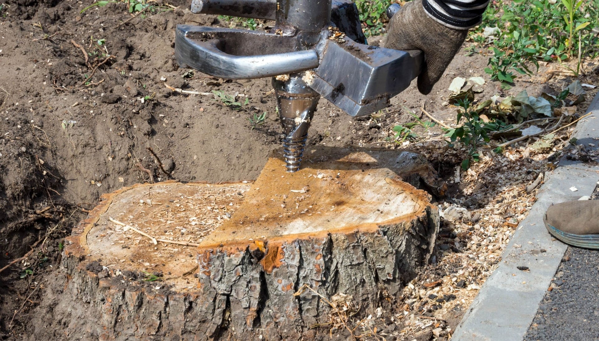 Lubbock Tree stump removal
